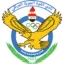 شعار القوة الجوية